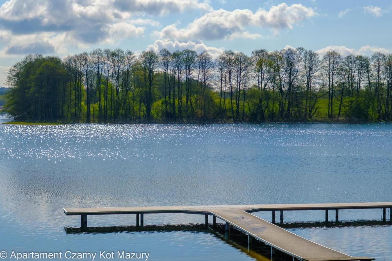 הוילה Malkinie Czarny Kot Mazury Dom Caloroczny מראה חיצוני תמונה