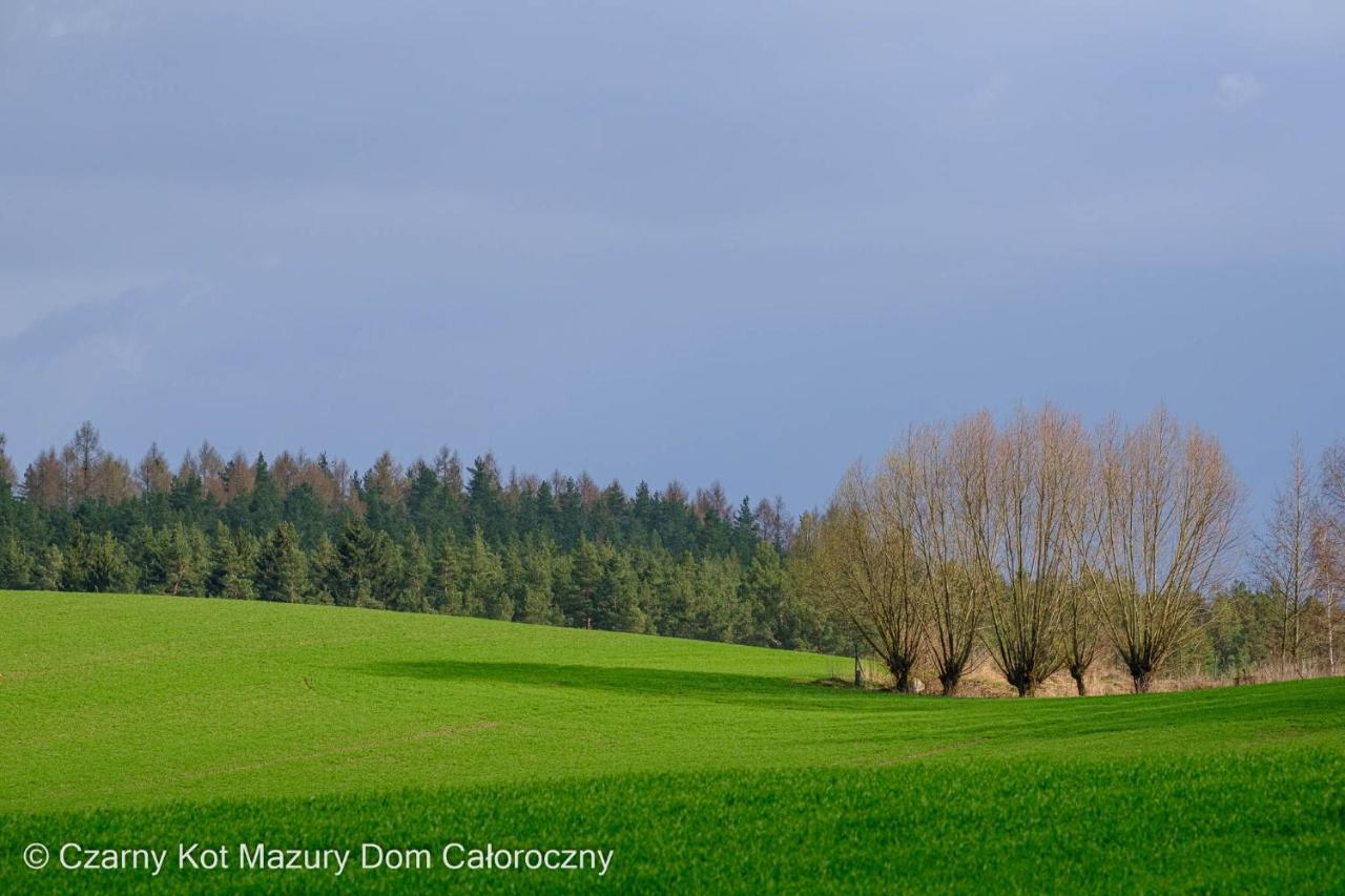 הוילה Malkinie Czarny Kot Mazury Dom Caloroczny מראה חיצוני תמונה
